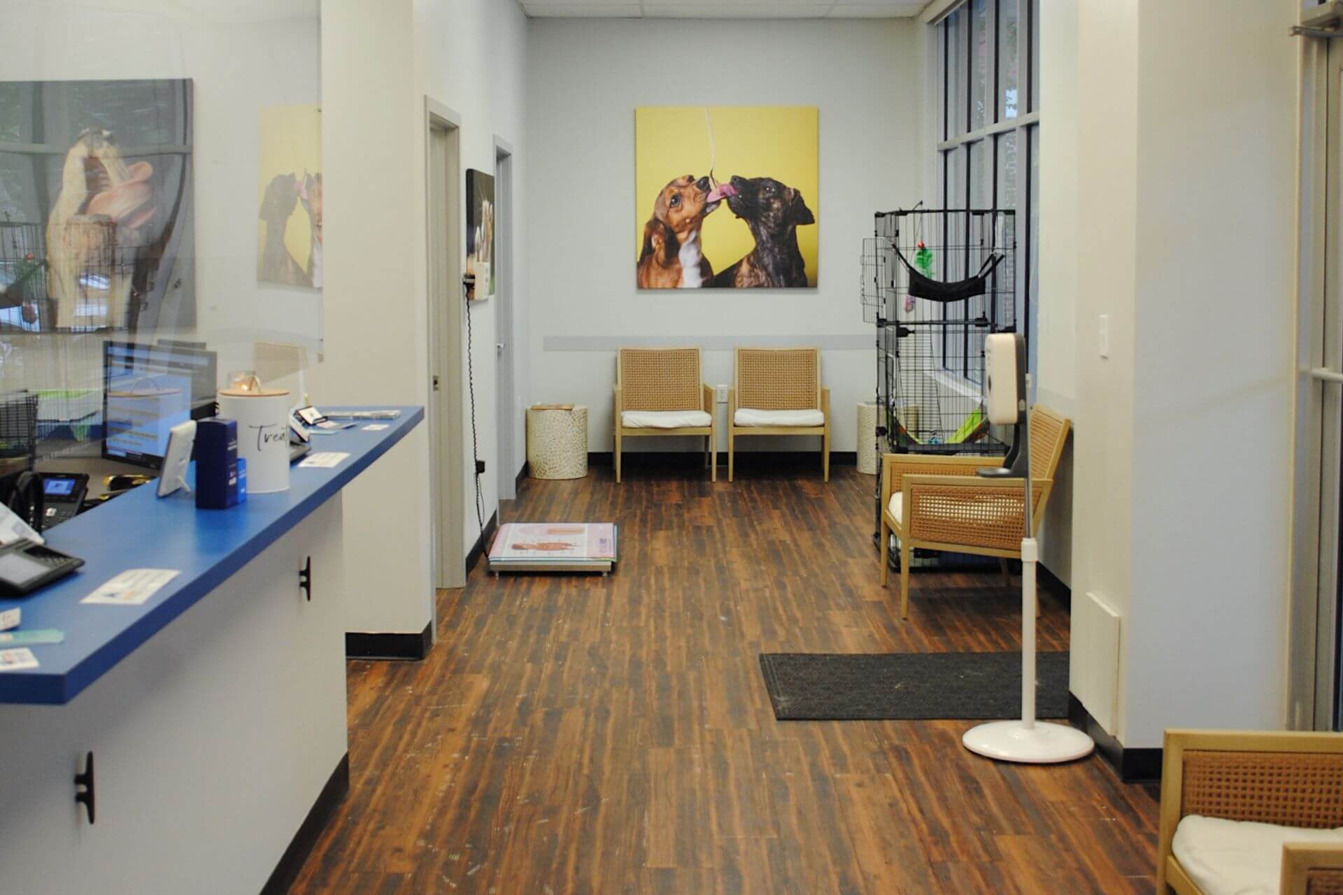 Veterinary referral program aacmp