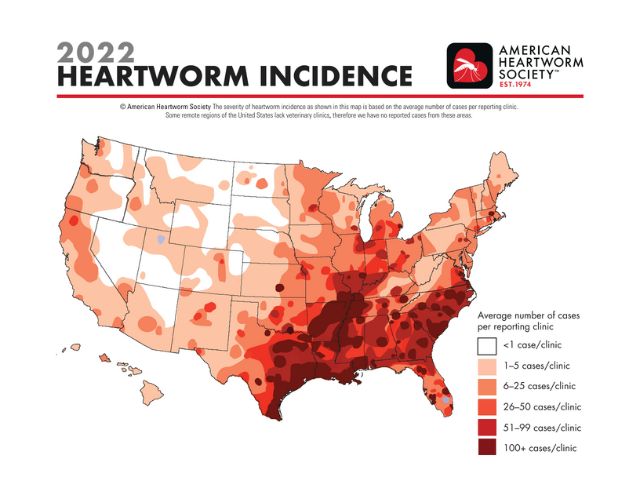 Heartworm positive map at AACMP