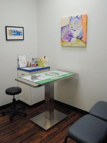 Cat exam room