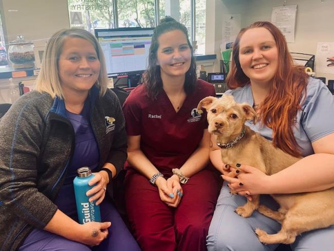 Careers - Advanced Animal Care of Mt. Pleasant