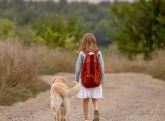 Back to School, Pet Edition: Helping Your Dog with Separation Anxiety