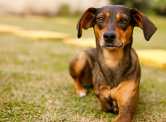 Living with a Tripod: 5 Things You Need to Know