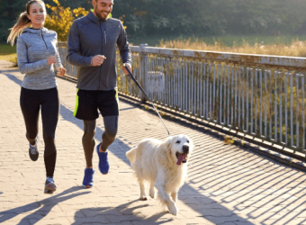 The Best Dog Breeds for Runners