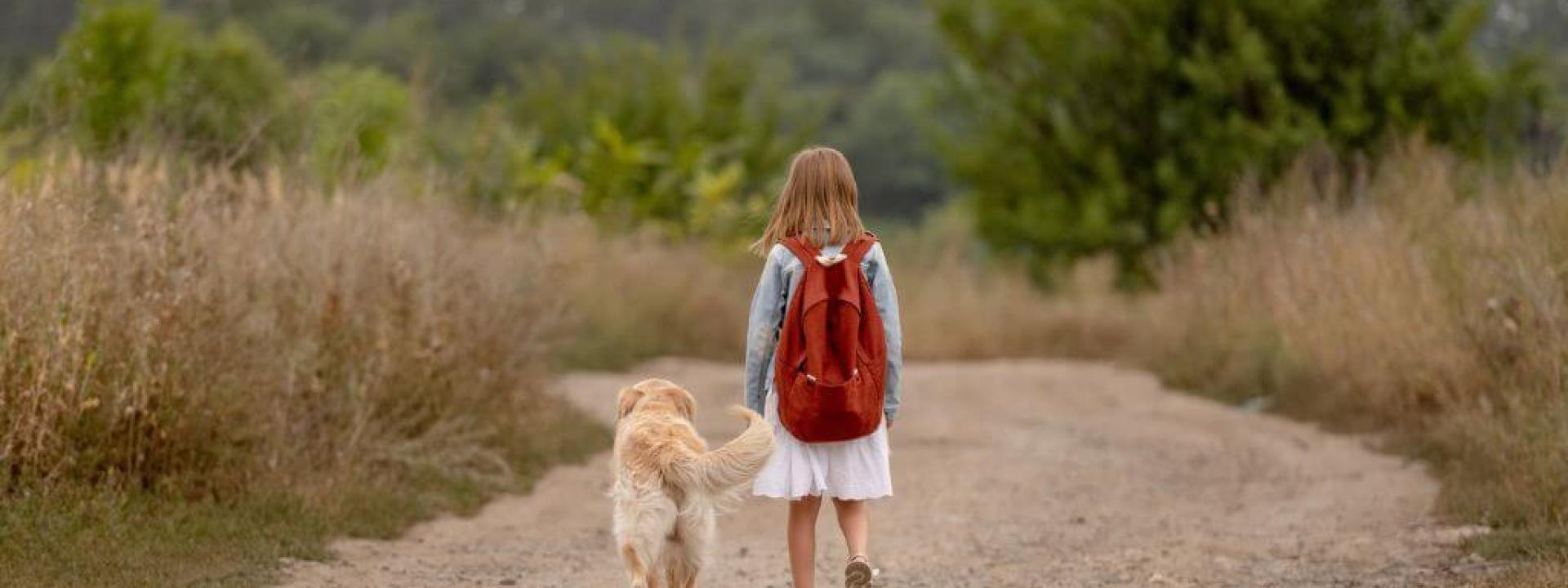 back to school separation anxiety in dogs